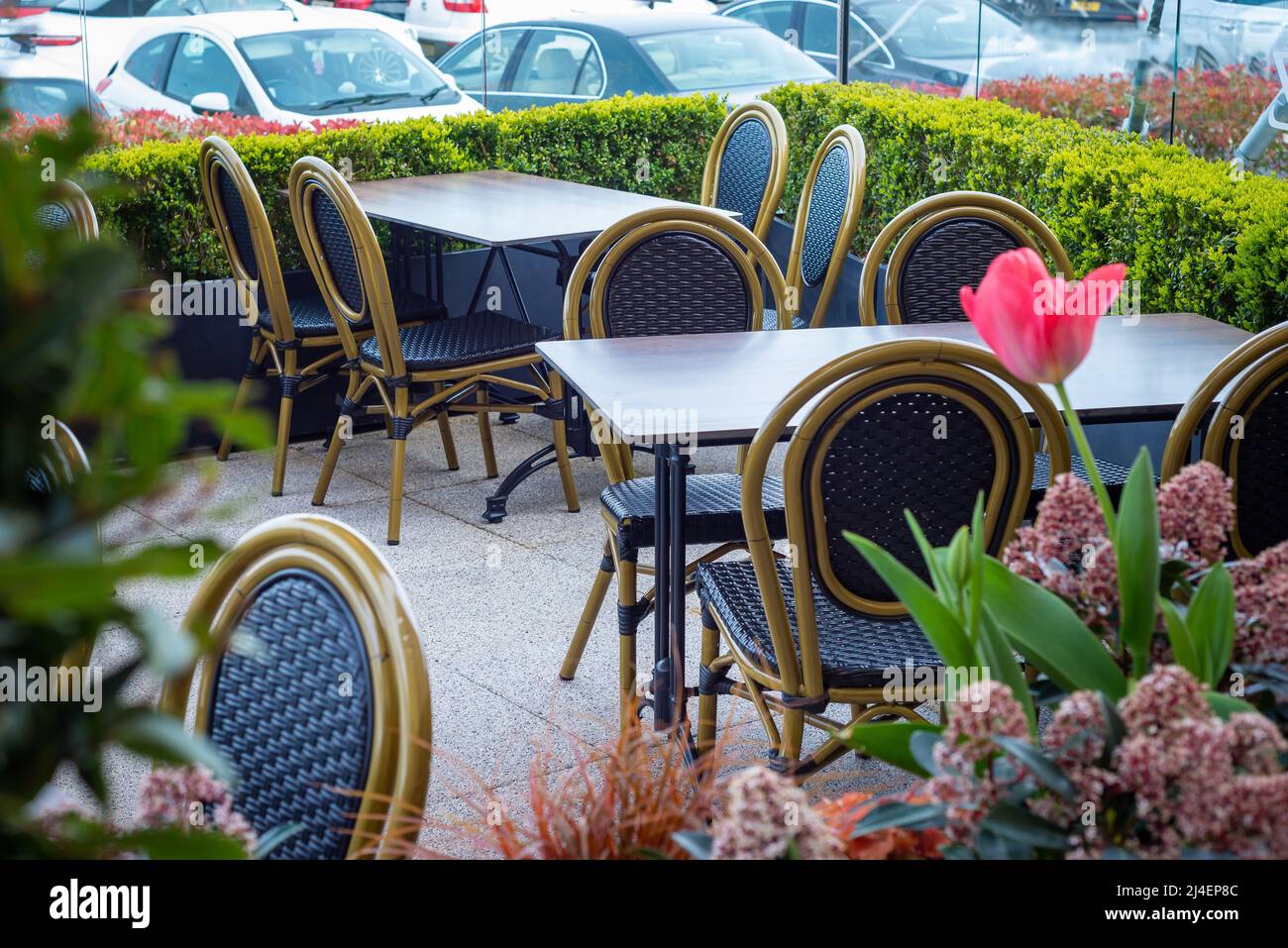 Tavoli e sedie vuoti puliti al ristorante caffetteria all'aperto in Inghilterra circondato da piante e fiori. Foto Stock