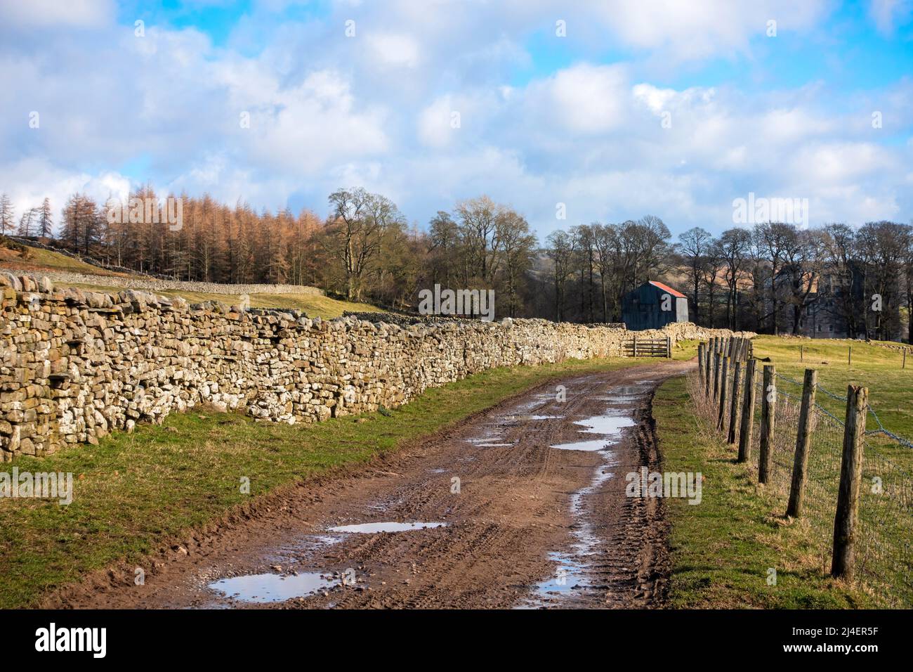 Percorso accidentato che conduce al Castello di Bolton, a Wensleydale e al Parco Nazionale Yorkshire Dales. Iconiche pareti di pietra asciutta racchiudono pascoli di pecora. Foto Stock