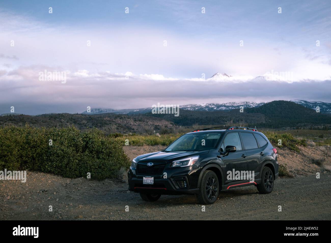 Subaru Forester parcheggiato su una strada sterrata che guarda verso il monte Shasta CA Foto Stock