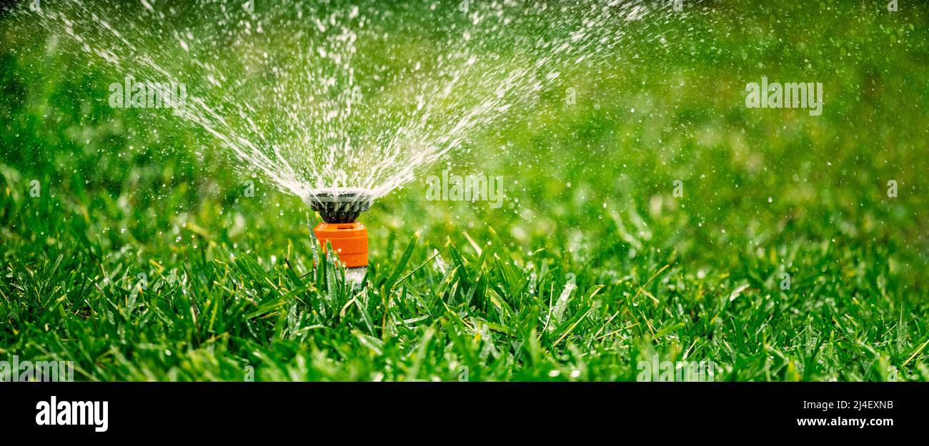 irrigatore automatico prato giardino. irrigazione erba in cortile. banner con spazio copia Foto Stock