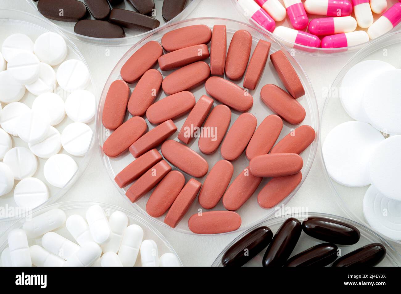 Laboratorio di farmacia e concetto di ricerca farmaceutica con pillole mediche in diverse piastre Petri isolate su bianco con spazio copia Foto Stock