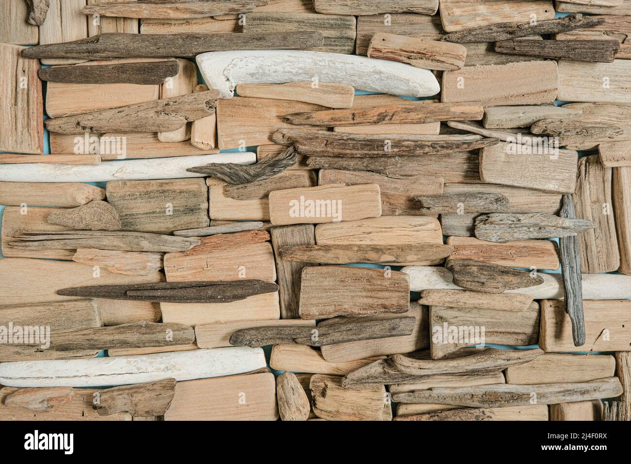driftwood Wall.Grey e marrone mare di legno di driftwood texture.Driftwood background.Natural legno decor in uno stile nautico.fila di mare serpenti su sfondo blu. Foto Stock