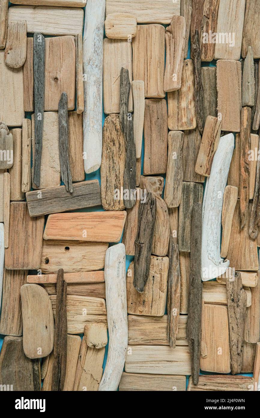 driftwood background. driftwood wall.Grey and Brown SEA Driftwood texture.Natural wood decor in uno stile nautico.ROW di mare serpente su sfondo blu Foto Stock