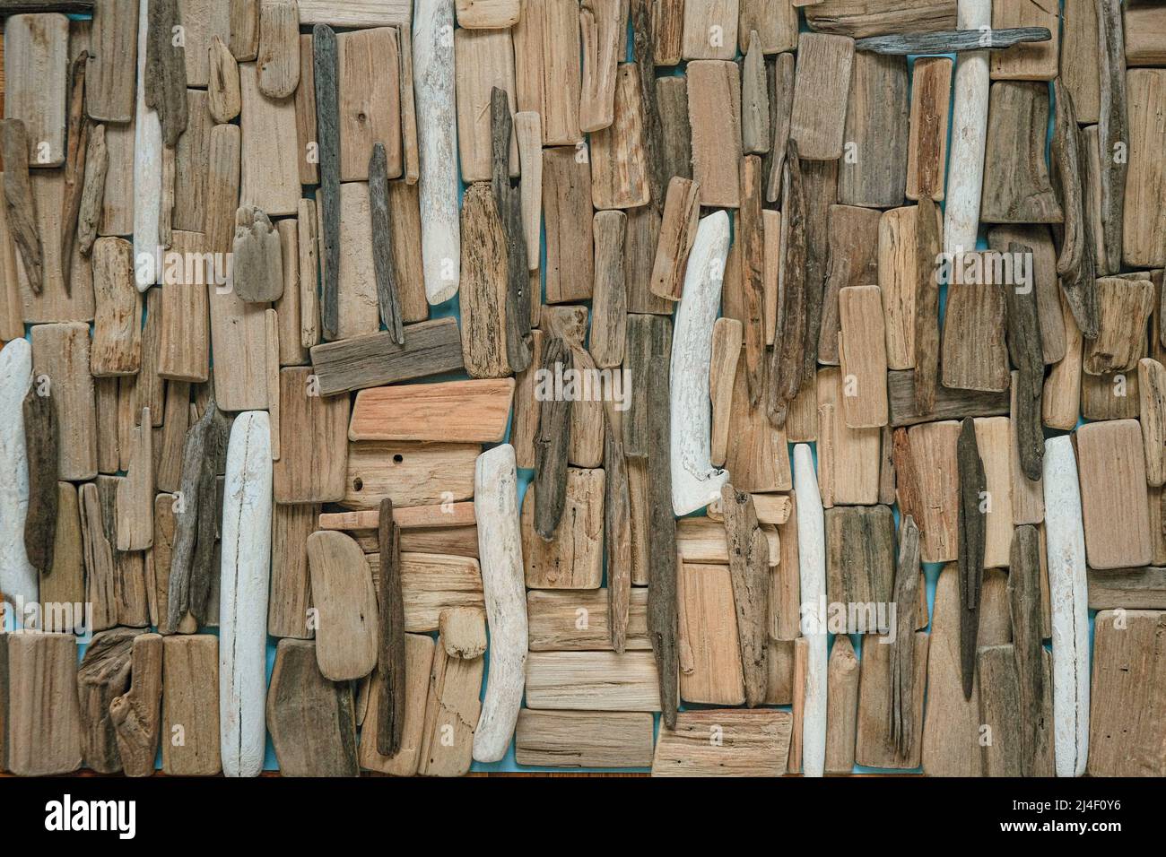 Il mare si snags su sfondo blu. driftwood Wall.Grey and Brown SEA Driftwood texture.Driftwood background.Natural wood decor in uno stile nautico. Foto Stock