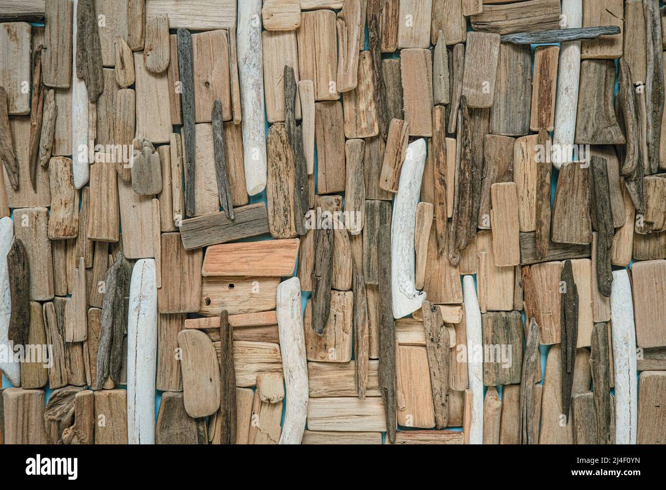 Decorazioni in legno in stile nautico. driftwood Wall.Grey and Brown SEA Driftwood texture.Driftwood background.row of SEA Snags on blue background. Disposizione piatta Foto Stock