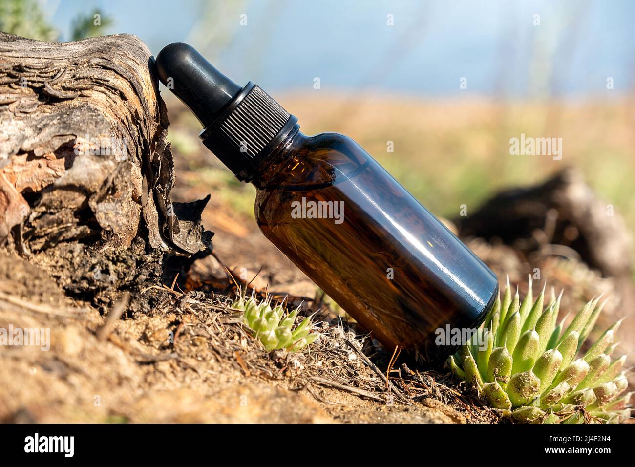 Un flacone contagocce marrone in vetro con siero, olio essenziale o altro prodotto cosmetico all'aperto. Natural Organic Spa Cosmetic Beauty Concept. Foto Stock