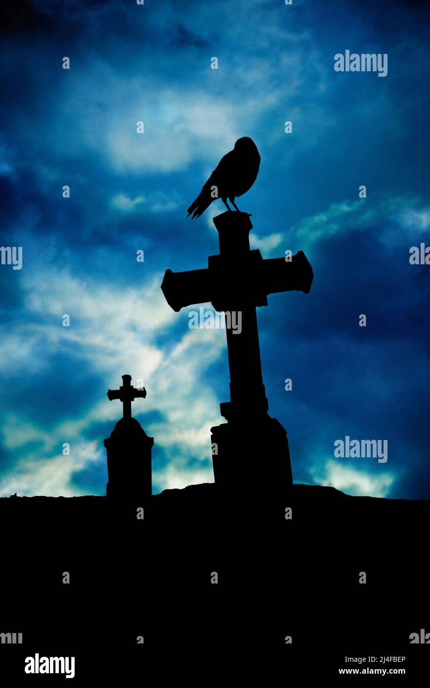 silhouette di un uccello in piedi su una tomba cimitero Foto Stock