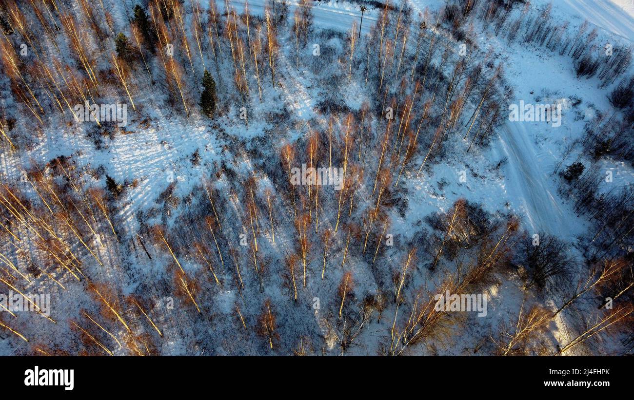 Lavikanlahti a Savitaipal al Lago Saimaa il 1 gennaio girato con un drone a mezzogiorno Foto Stock