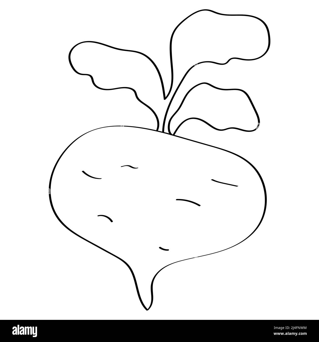 Bella barbabietola cartoon isolato su sfondo bianco per il concetto di pennello Foto Stock