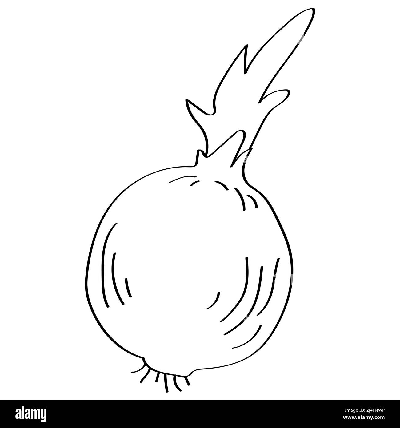 Bella cipolla cartoon isolato su sfondo bianco per il concetto di pennello Foto Stock