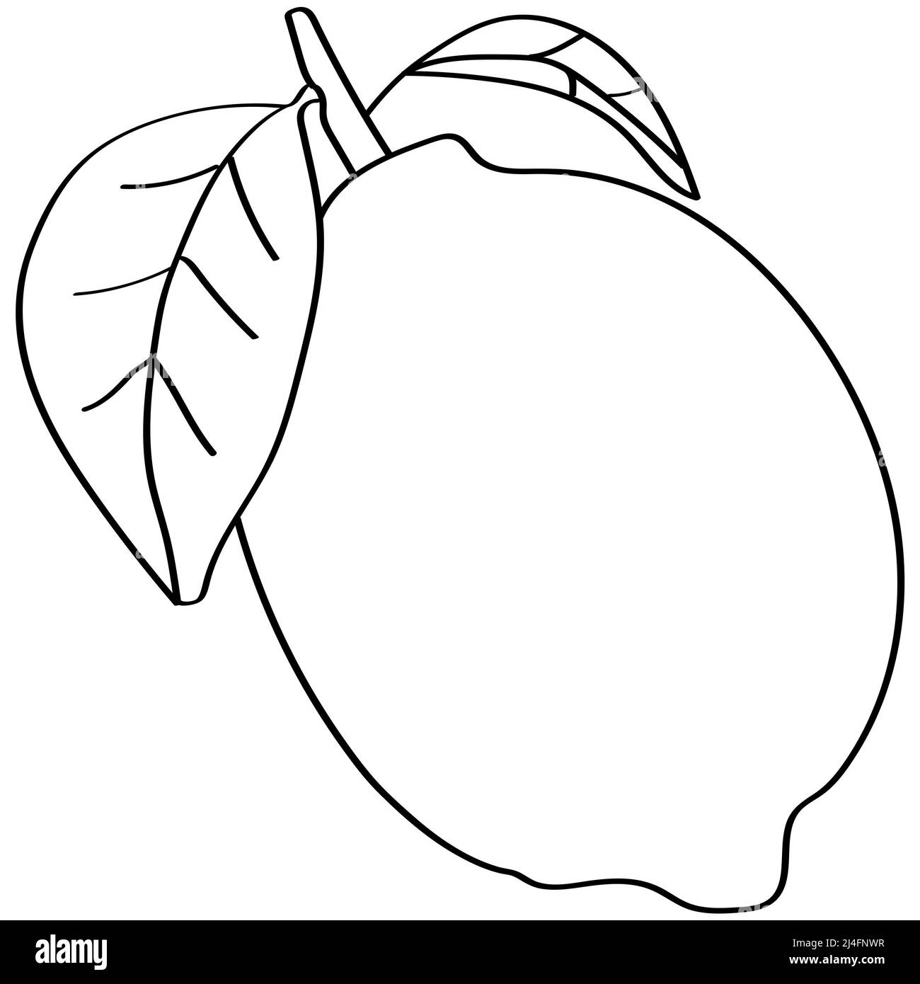 Bellissimo cartone animato limone isolato su sfondo bianco per il concetto di pennello Foto Stock