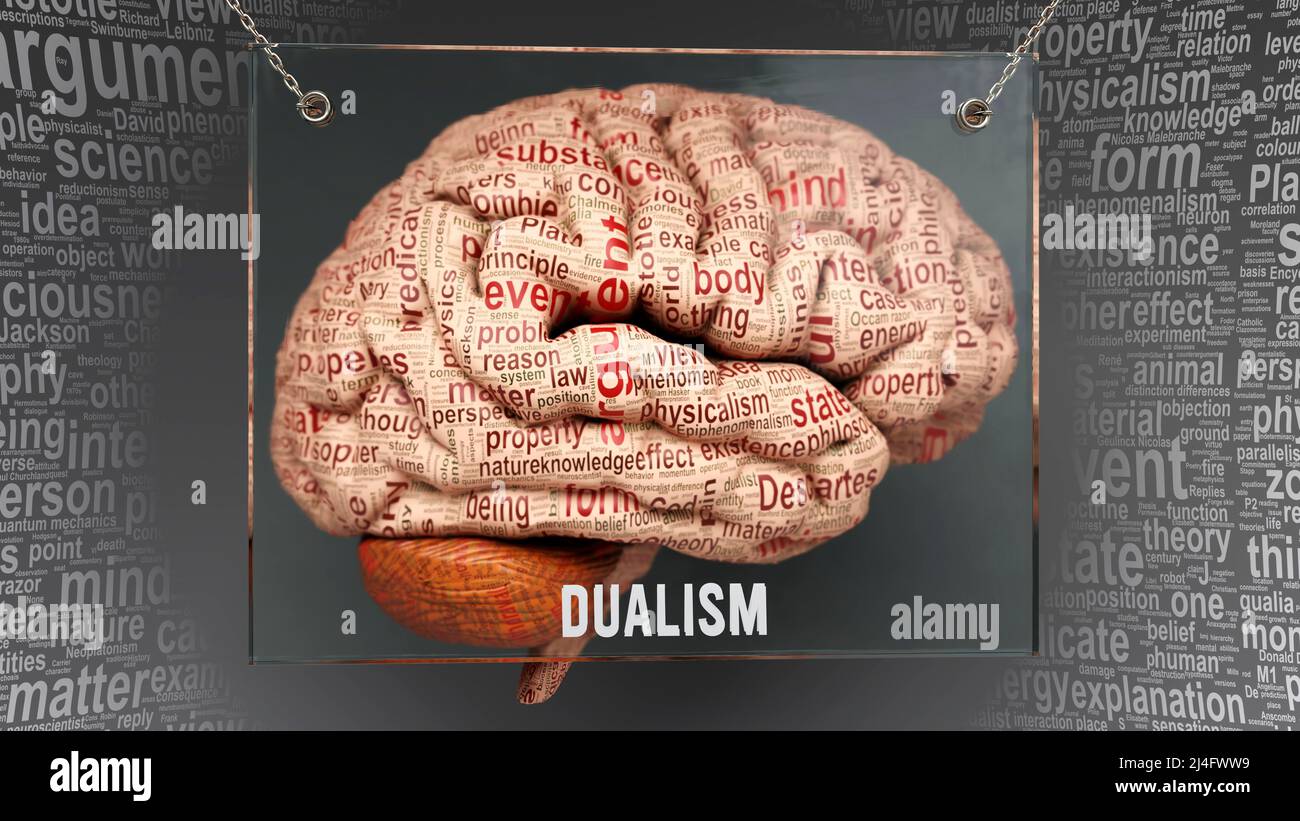 Dualismo nel cervello umano - decine di termini importanti che descrivono le proprietà del dualismo e le caratteristiche dipinte sulla corteccia cerebrale per simbolizzare il dualismo conne Foto Stock