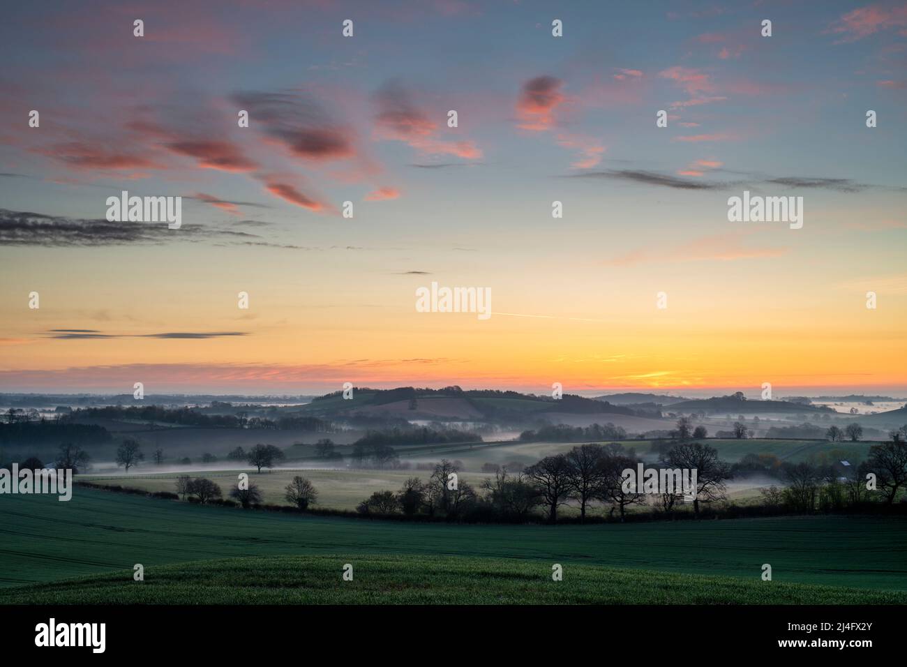 Primavera nebbiosa alba vicino a Swacliffe nella campagna dell'oxfordshire. Oxfordshire, Inghilterra Foto Stock