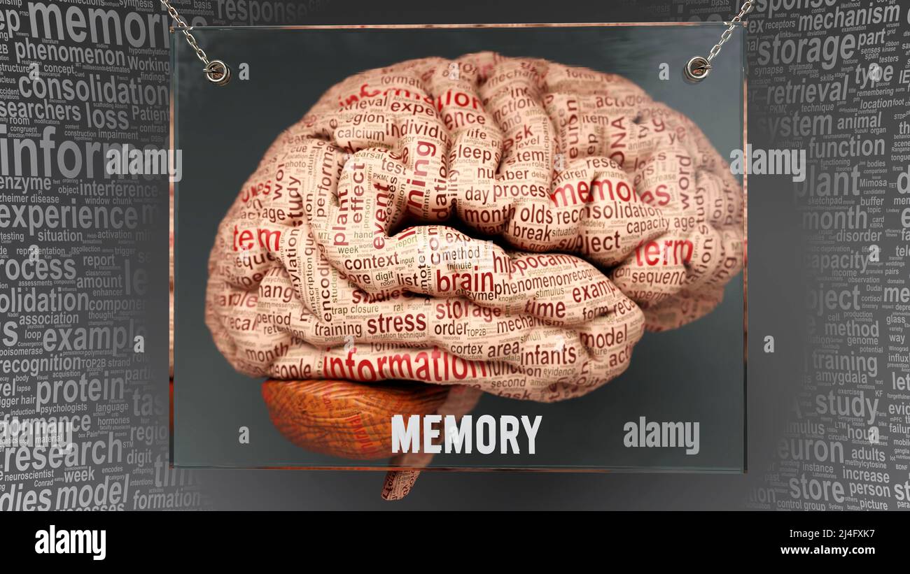 Word memory immagini e fotografie stock ad alta risoluzione - Alamy