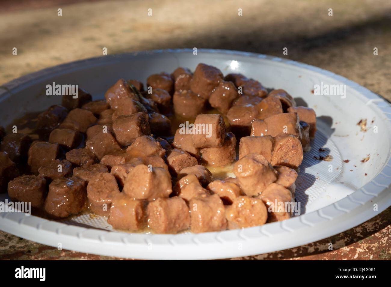 Fuoco selettivo di cibo istantaneo del gatto su piastra di plastica bianca. Cibo gatto cilindrico fatto di bistecca. Foto Stock