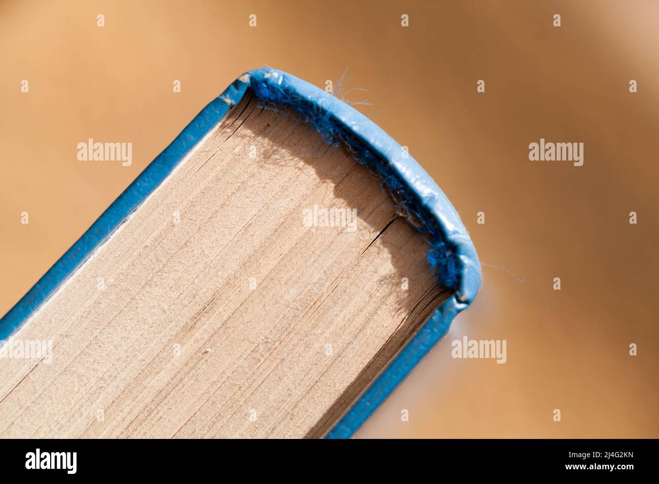 Libro vintage chiuso, foto macro dorso con messa a fuoco selettiva Foto Stock