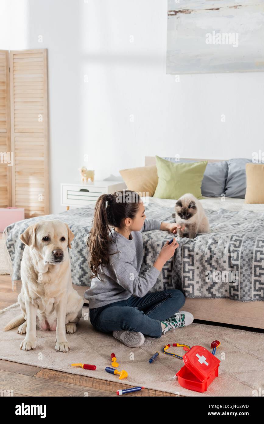 ragazza seduta sul pavimento e giocare con giocattolo set medico, gatto e cane labrador Foto Stock