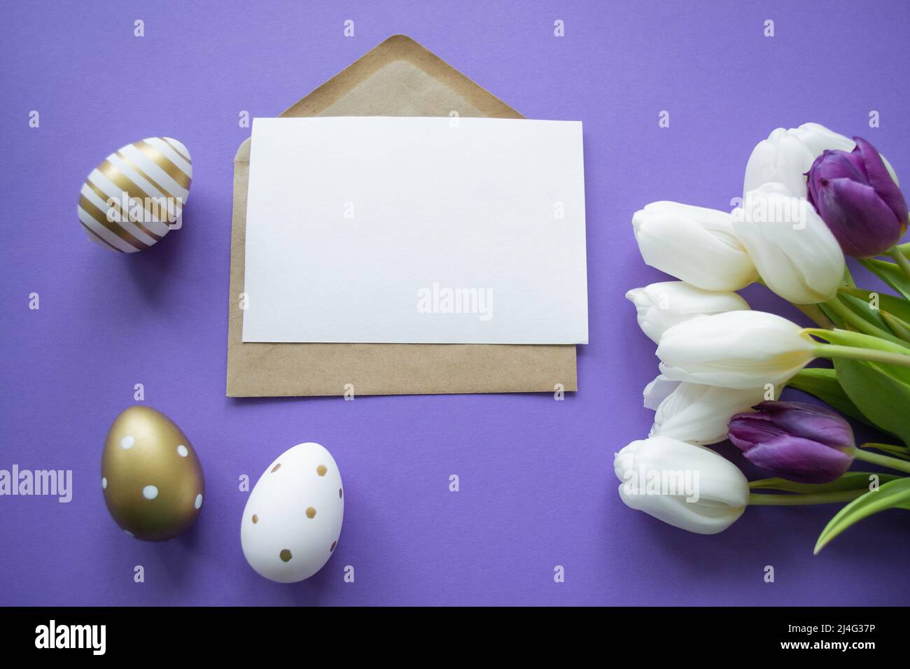 Auguri di Pasqua: Spazio cartaceo per la copia delle lettere su sfondo viola. Bouquet di tulipani bianchi e uova di pasqua dorate e con motivo. Foto Stock