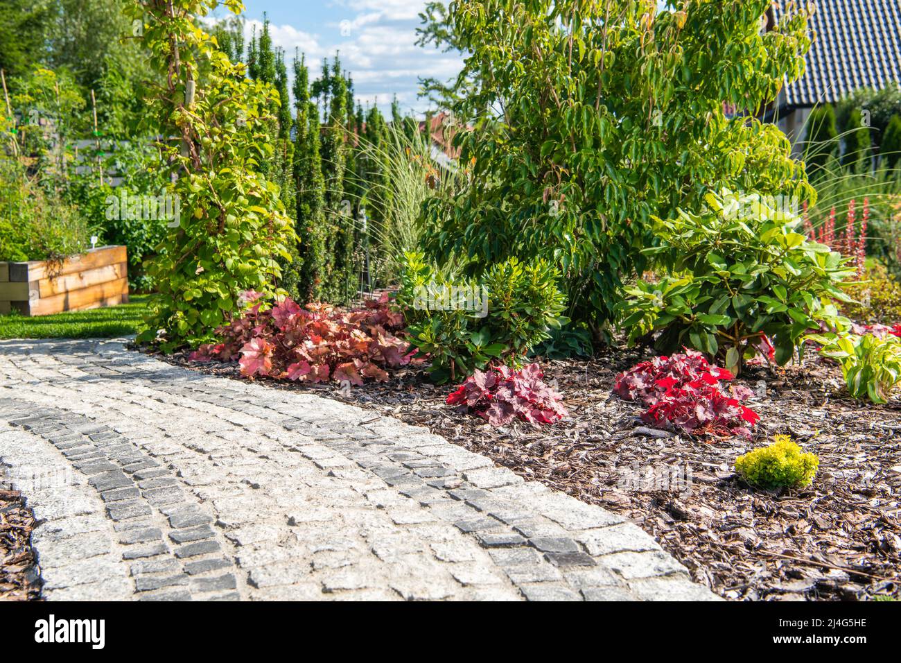 Bel giardino residenziale cortile con granito mattoni percorso. Estate tempo Giardino scenario. Foto Stock