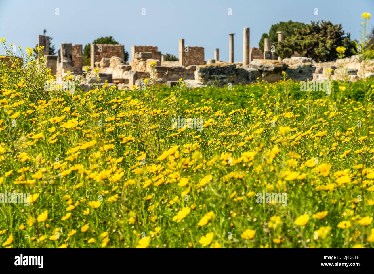 Heiligtum des Apollon Hylates in der antiken Stadt Kourion, Episkopi, Zypern, Europa | il Santuario di Apollo Hylates nell'antica città di Kourion, Foto Stock