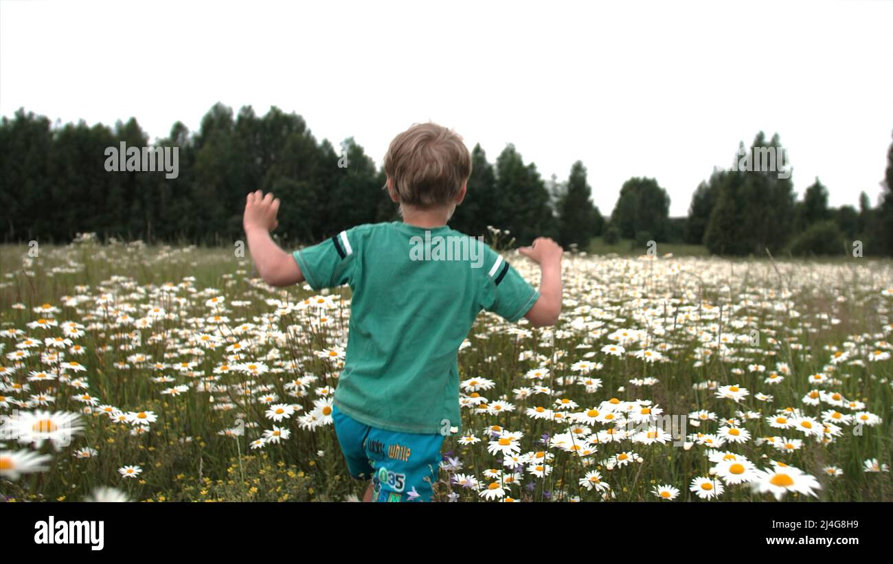 Concetto di infanzia e libertà, un ragazzo che corre attraverso un prato fiorente. Creativa. Vista posteriore di un ragazzino che corre attraverso un campo di camomilla Foto Stock