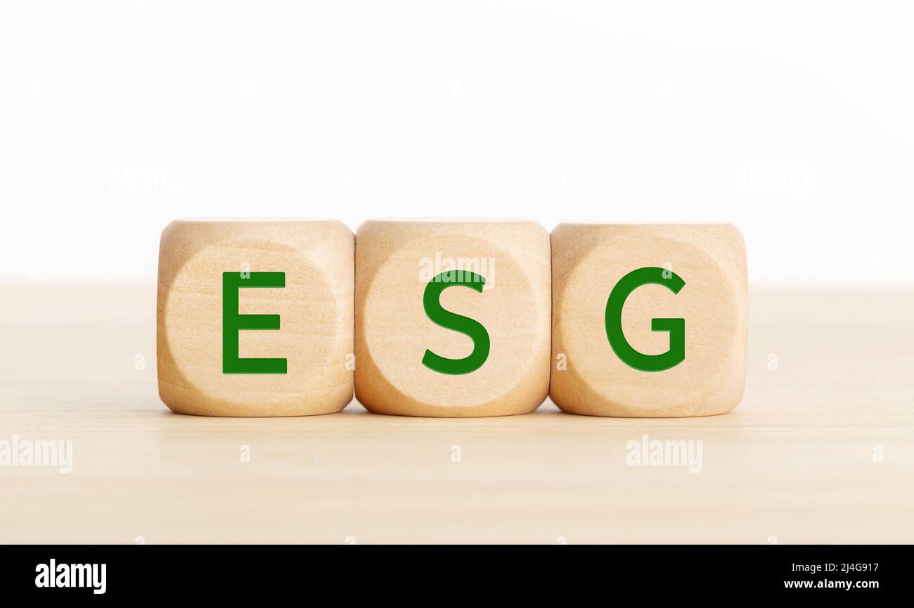 Parola ESG su cubo di legno. Ambiente, sociale e governance. Spazio di copia Foto Stock
