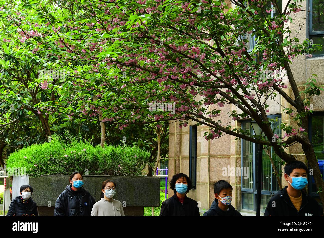 SUZHOU, CINA - 15 APRILE 2022 - i cittadini si accodano per l'analisi degli acidi nucleici in un sito di campionamento degli acidi nucleici nella città di Taicang di Suzhou, Ji della Cina orientale Foto Stock