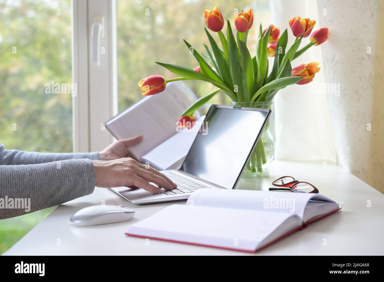 Mani di una donna che digita su un computer portatile, libri, mouse e tulipano bouquet su una scrivania bianca con accanto alla finestra, studio o ufficio a casa, copia s. Foto Stock