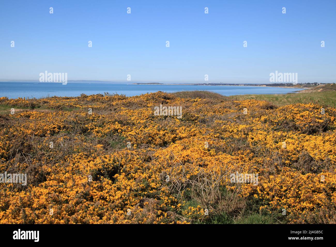 Effetti dell'erosione costiera a Barton sul mare, Hampshire Regno Unito Aprile 2022 Foto Stock