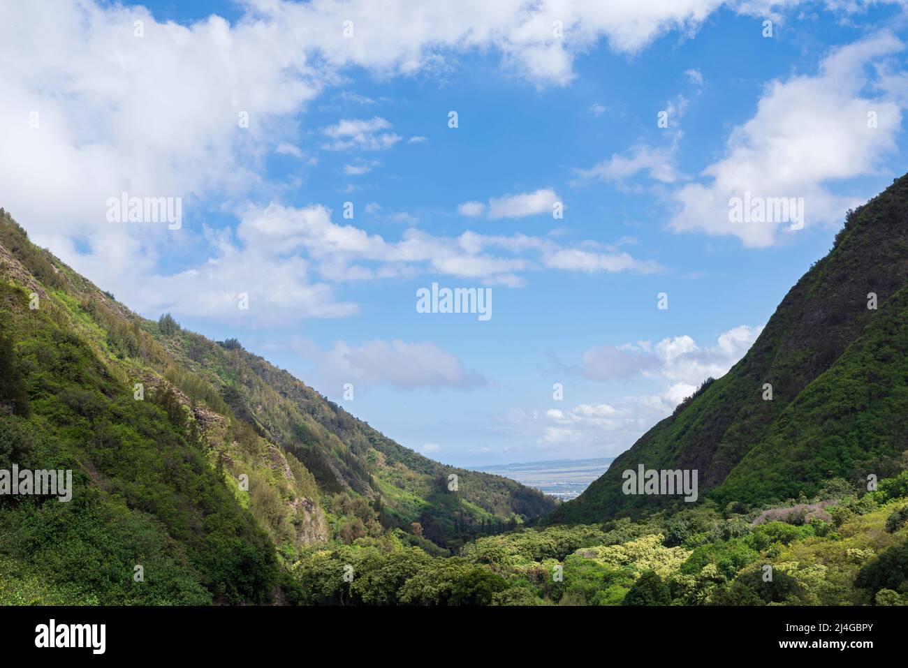 iao valley state park si affaccia sulla valle incorniciata da ripide montagne a maui hawaii Foto Stock
