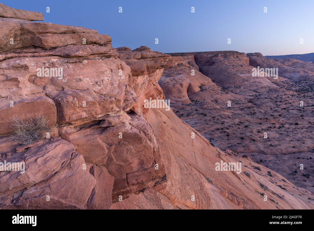 Dawn sopra le scogliere rosse di standstone e la roccia slick nell'area di studio di Scorpion Wilderness, Bureau of Land Management, contea di Garfield, Utah, Stati Uniti Foto Stock
