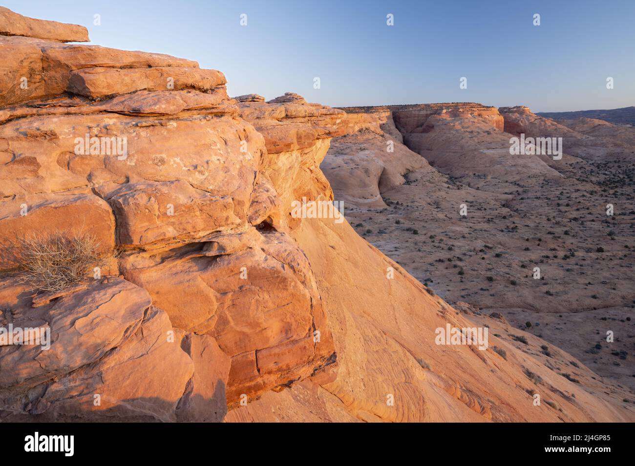 Dawn sopra le scogliere rosse di standstone e la roccia slick nell'area di studio di Scorpion Wilderness, Bureau of Land Management, contea di Garfield, Utah, Stati Uniti Foto Stock