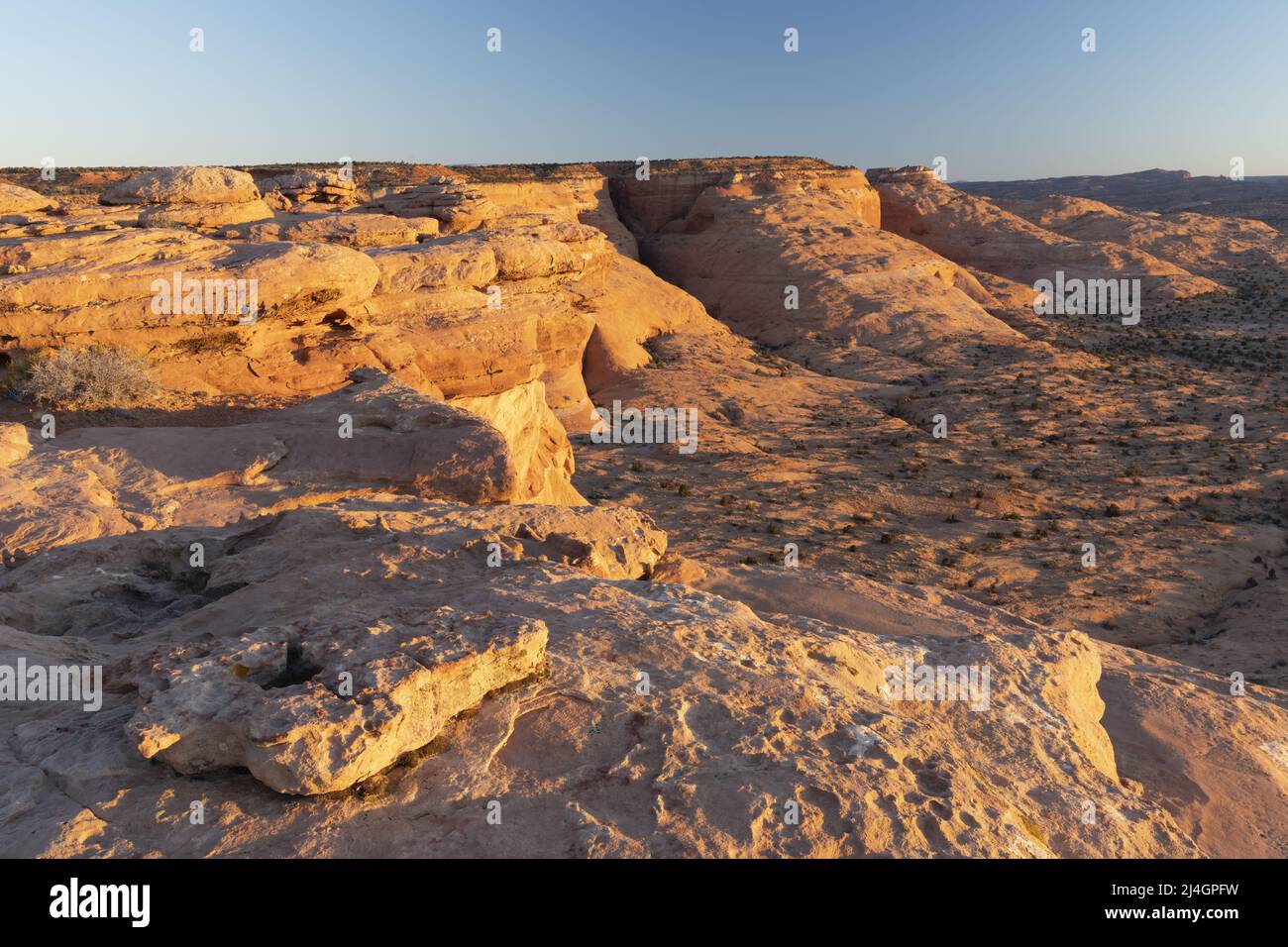 Dawn sopra le scogliere rosse di standstone e la roccia slick nell'area di studio di Scorpion Wilderness, Bureau of Land Management, contea di Garfield, Utah, Stati Uniti Foto Stock