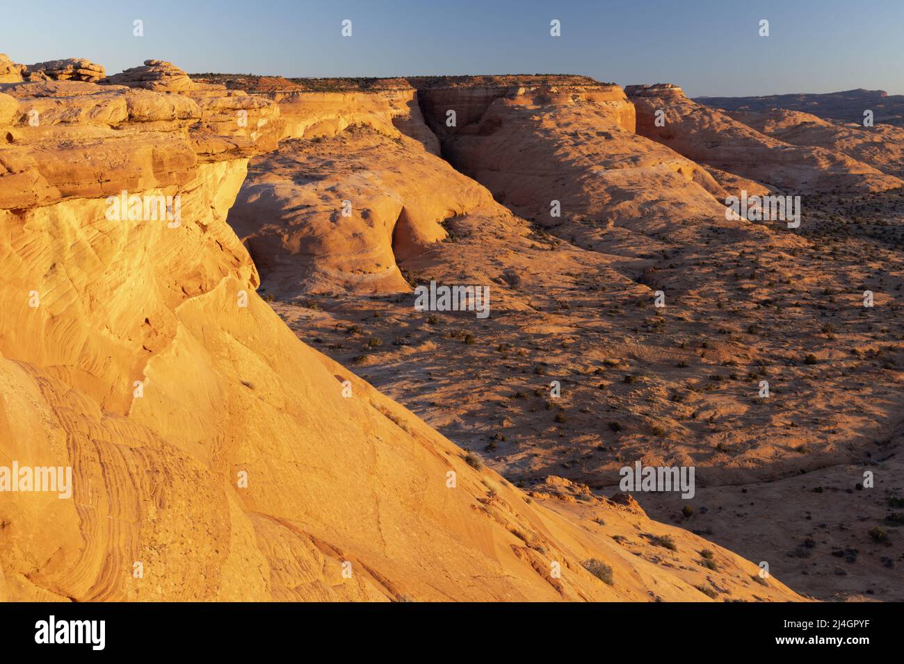 Dawn sopra le scogliere rosse di standstone e la roccia slick nell'area di studio di Scorpion Wilderness, Bureau of Land Management, contea di Garfield, Utah, Stati Uniti Foto Stock