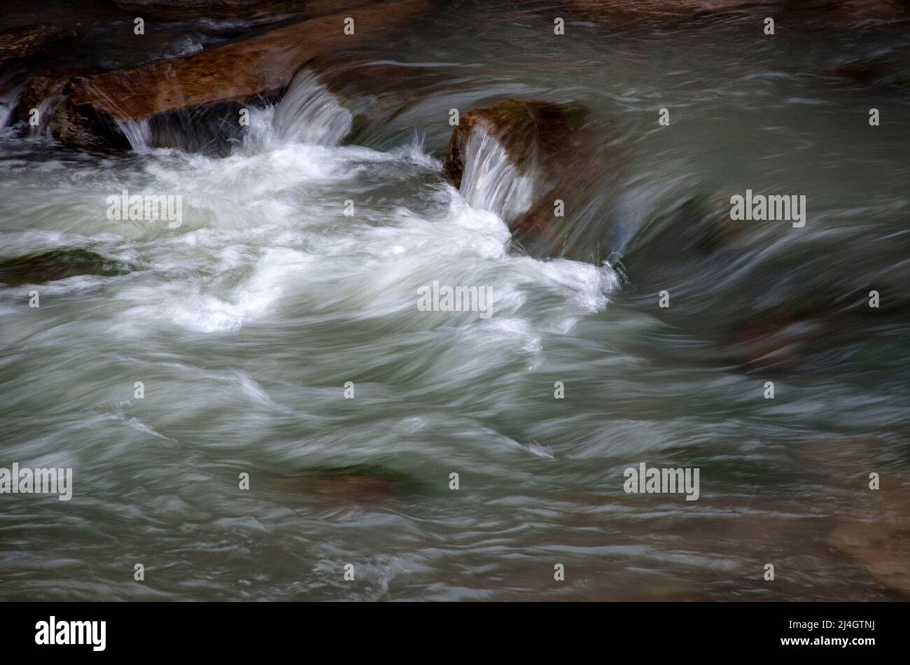 Natura stagionale sfondo autunno dettaglio sulla sera fiume Foto Stock