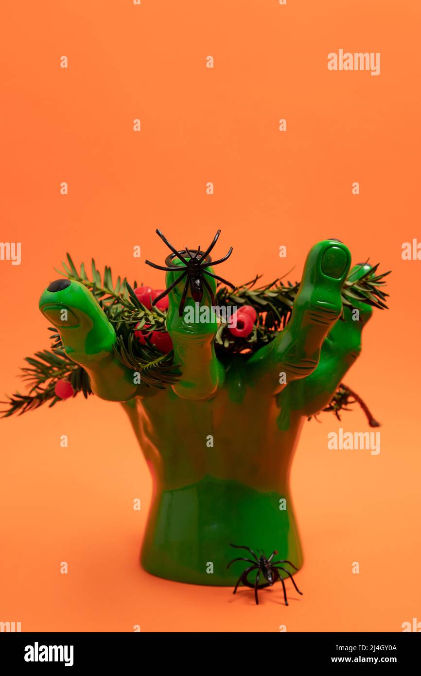 Mano verde che tiene rami di tasso con bacche rosse e due ragni. Concetto di decorazione di Halloween Foto Stock