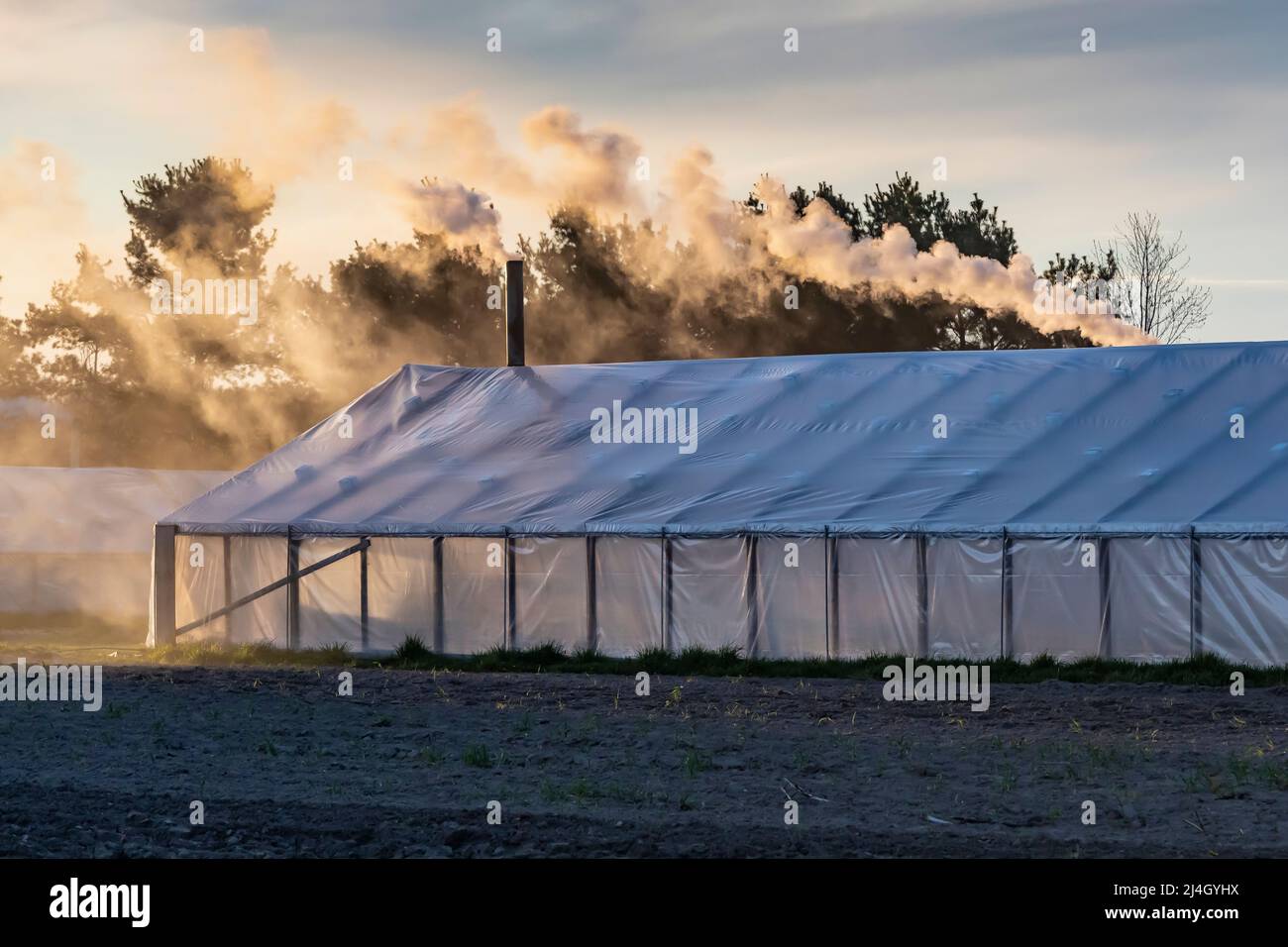 Amish serra riscaldata a legna per la crescita di cesti pendenti, Michigan, USA [Nessuna pubblicazione di proprietà; licenza editoriale solo] Foto Stock