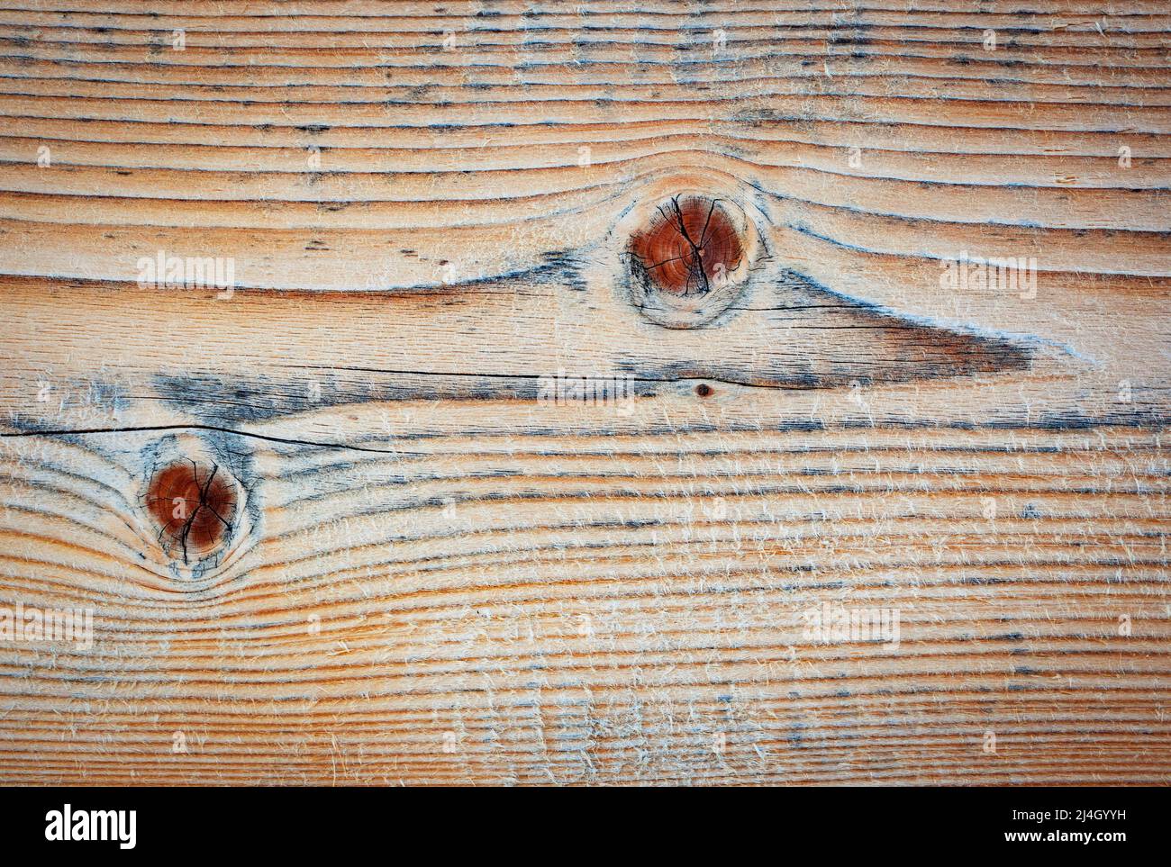 sfondo astratto o legno di texture con forma stilizzata rettile Foto Stock