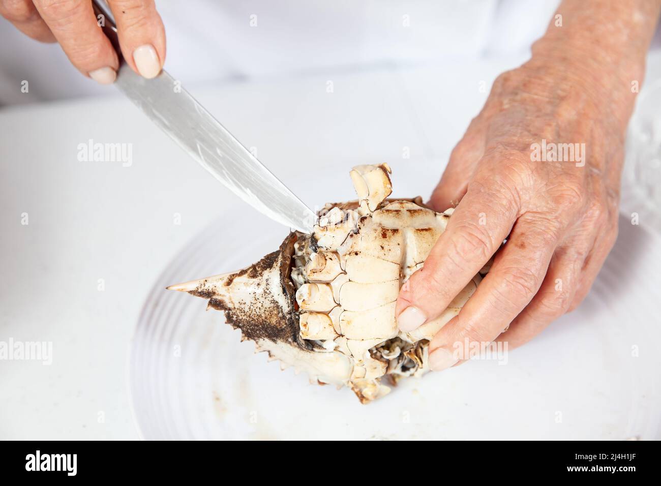 Primo piano del processo di scomposizione di un granchio fresco per estrarre la carne Foto Stock