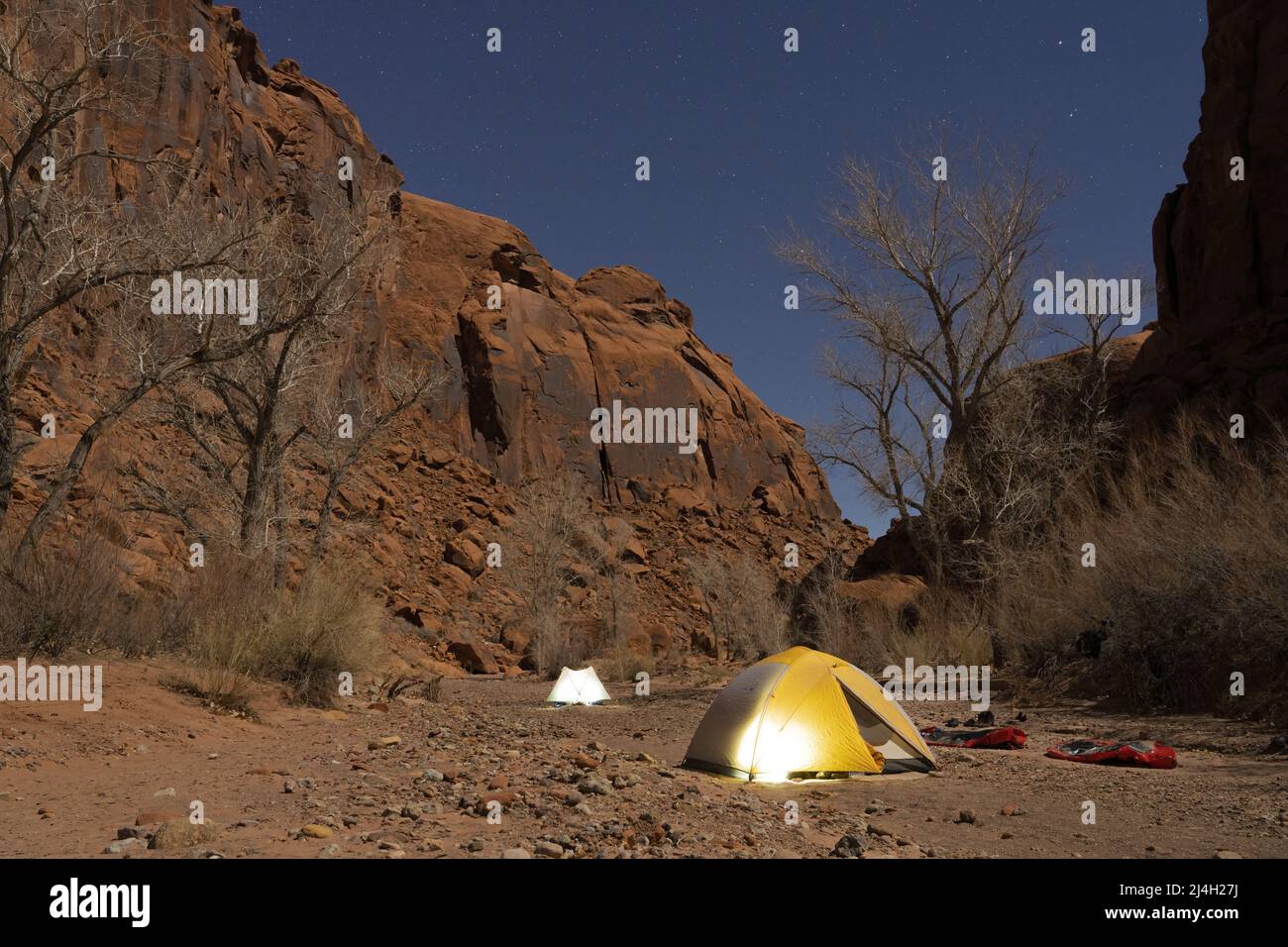 Camping sotto il cielo stellato, Moody Canyon, Glen Canyon National Recreation Area, Kane County, Utah, USA Foto Stock