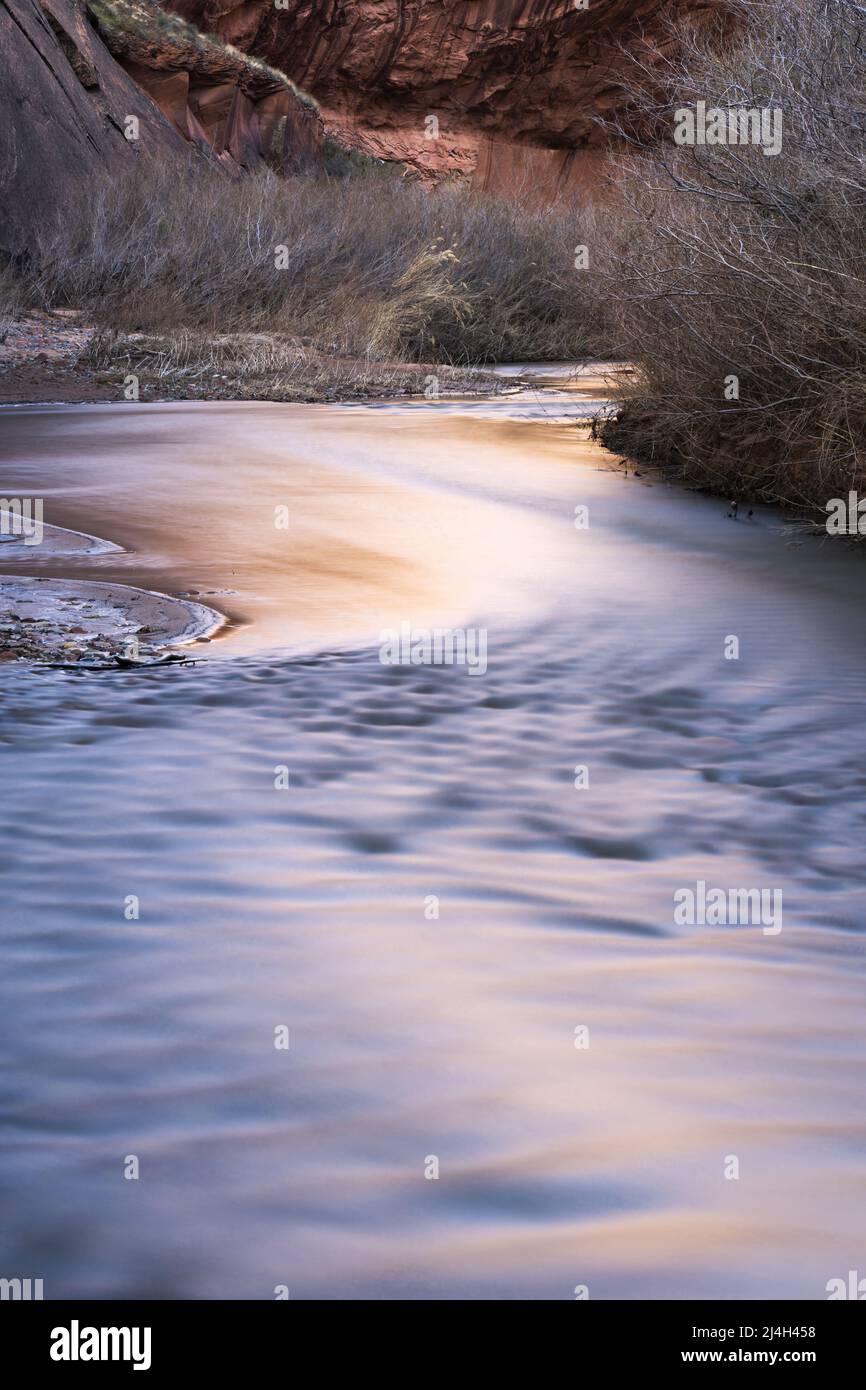 Luce riflessa sul canyon di arenaria del fiume Escalante, Glen Canyon National Recreation Area, Kane County, Utah, USA Foto Stock