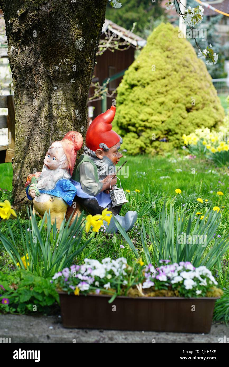 Due gnomi nel giardino in primavera, Svizzera Foto Stock