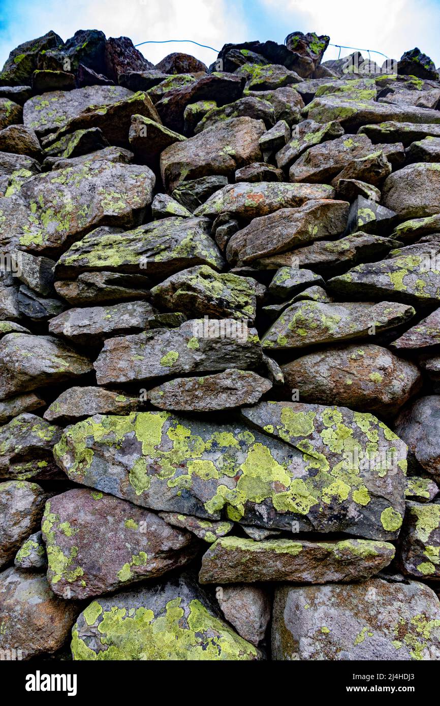 Lime verde mappa lichen su muri di pietra asciutta Lake District Cumbria Inghilterra Foto Stock