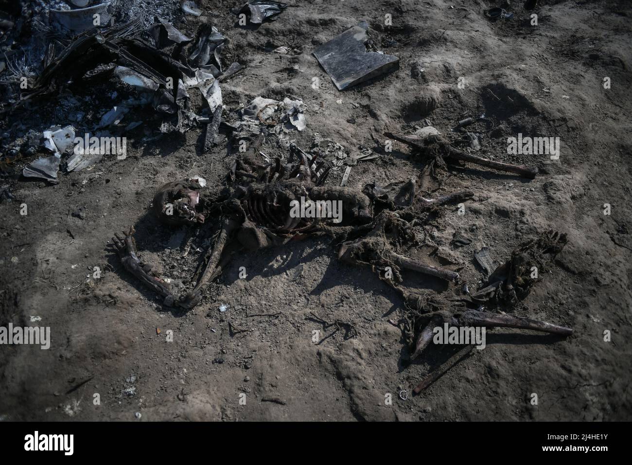 Makariv, nei pressi di Kiev, Ucraina - 15 aprile 2022: Il relitto di un elicottero russo e tre corpi sono visti in un campo di credito: Piero Crociatti/Alamy Live News Foto Stock