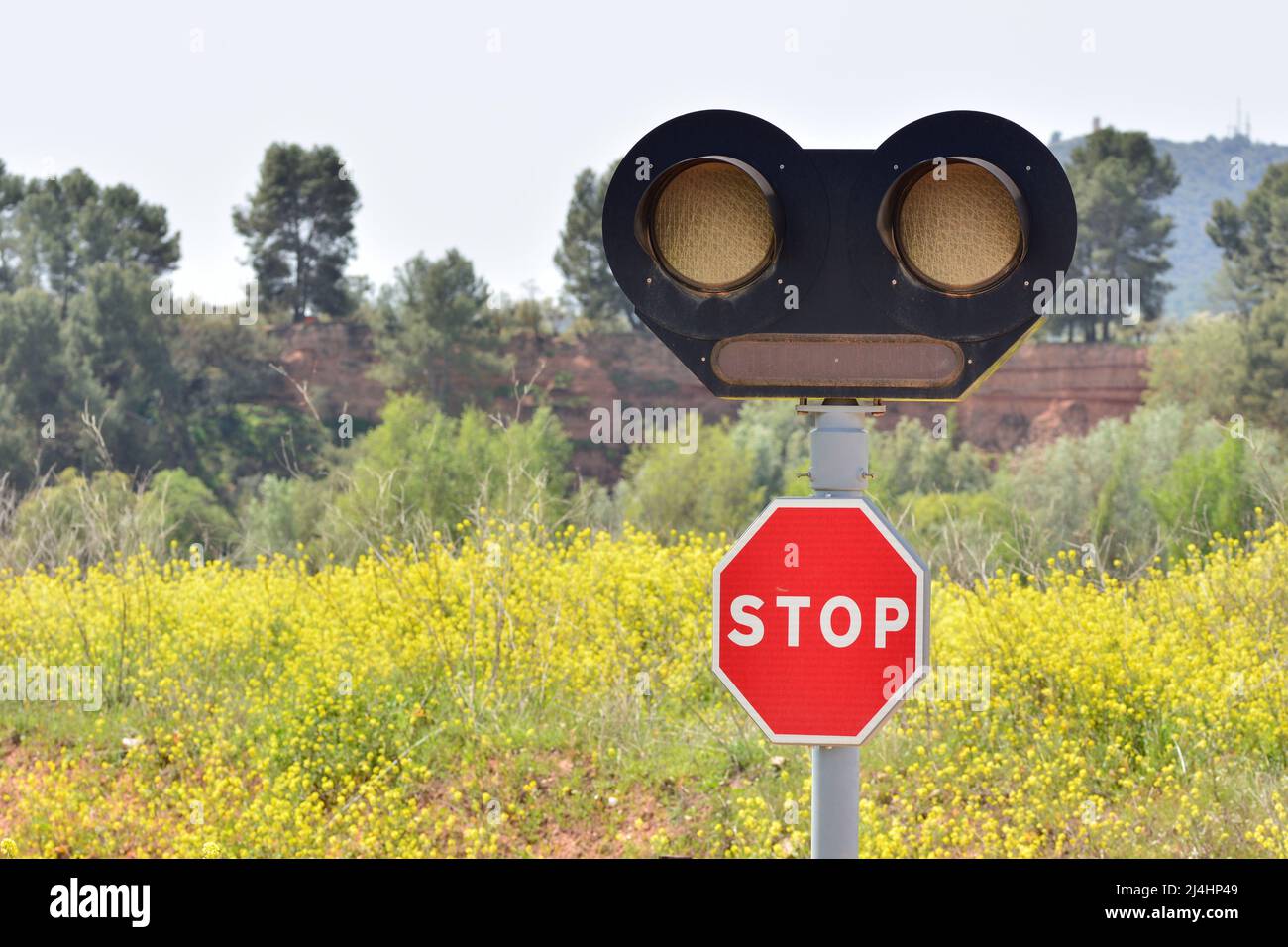 Señal de stop con semáforo en un paso a nivel Foto Stock