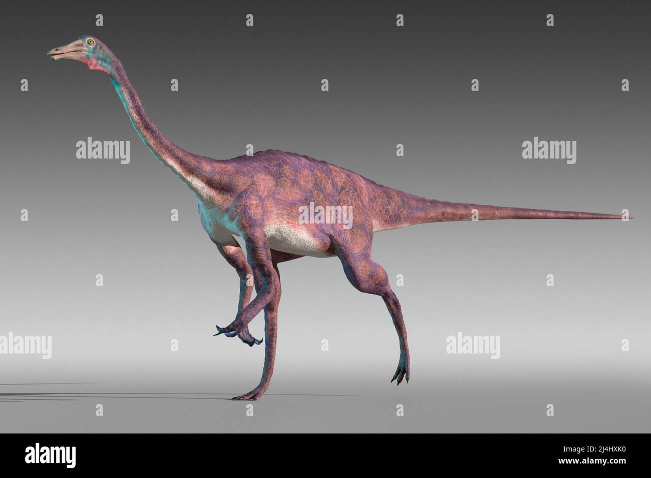 Opera del dinosauro Gallimus Foto Stock