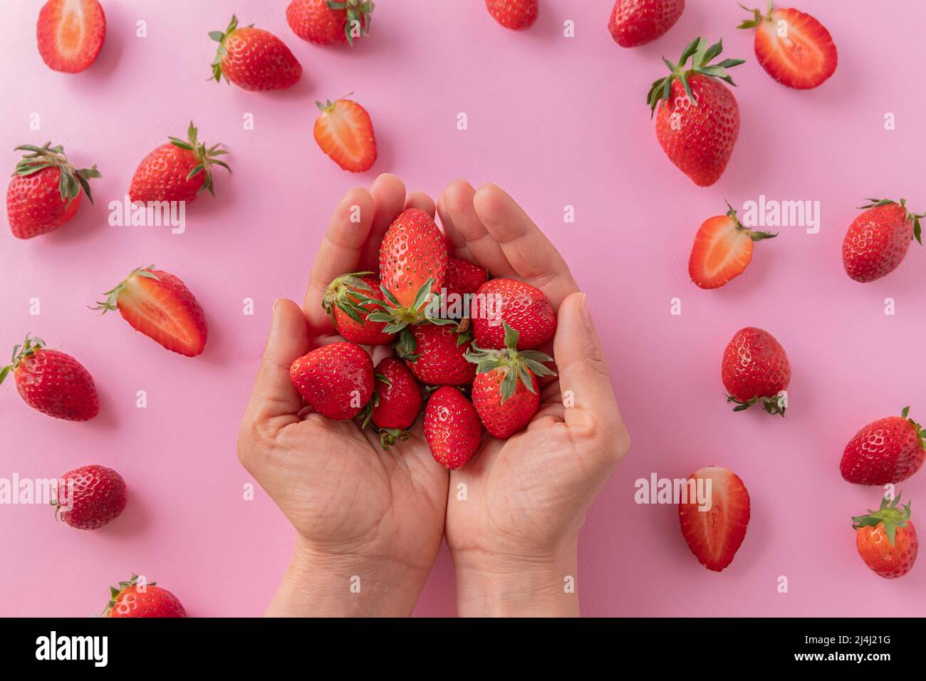 Vista dall'alto delle mani della donna che tengono fragole mature e succose su sfondo rosa pastello Foto Stock
