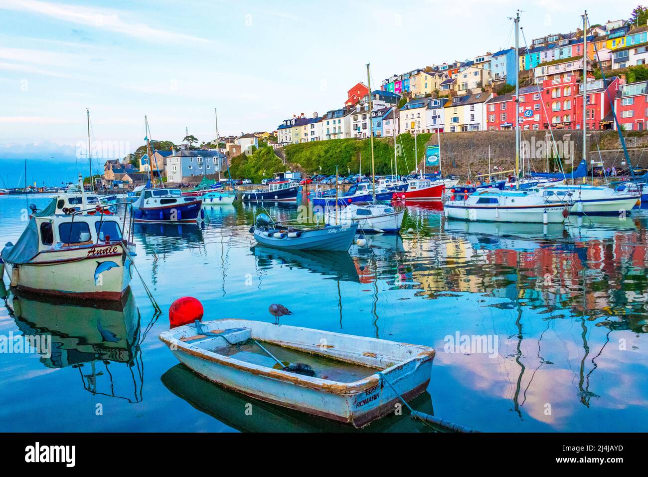 Vista del porto di Brixham. Porto di pesca fiancheggiato da ristoranti di pesce, pub e negozi di articoli da regalo, più un mercato che vende catture locali. Devon, Inghilterra. Foto Stock