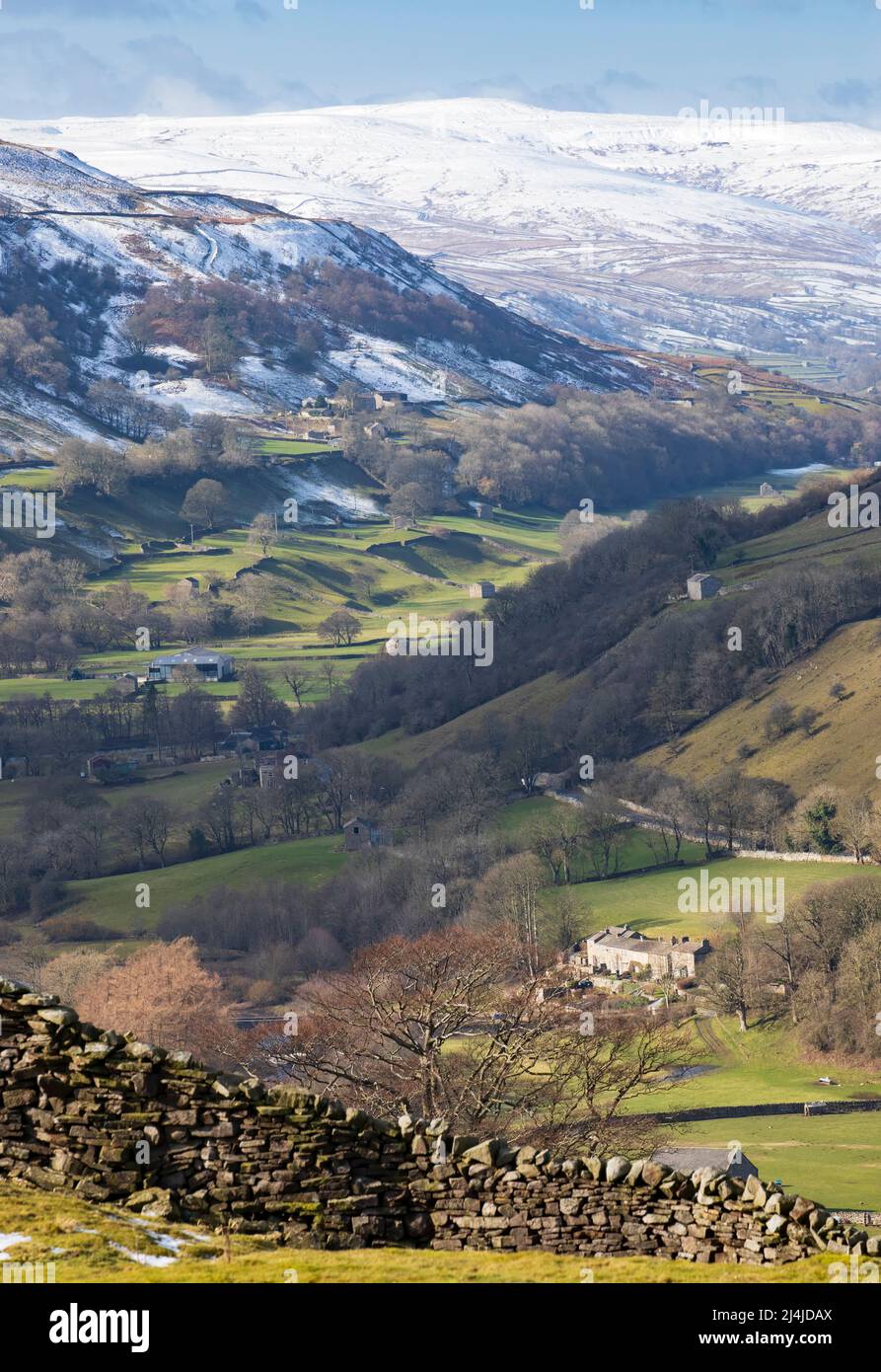 Swaledale, Yorkshire Dales National Park, colline coperte di neve sopra un mosaico di pareti di pietra asciutta fiancheggiata da campi e pascoli con iconiche fienili in pietra Foto Stock