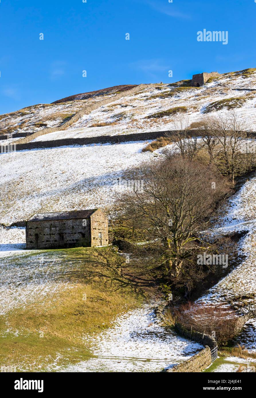 Fienile in pietra a Swaledale, Yorkshire Dales National Park. Le iconiche pareti in pietra asciutta racchiudono pascoli ricoperti di neve a fine inverno. Un forno abbandonato di calce c Foto Stock